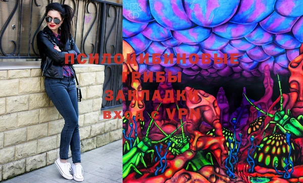 a pvp Белокуриха