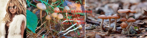 спиды Белоозёрский